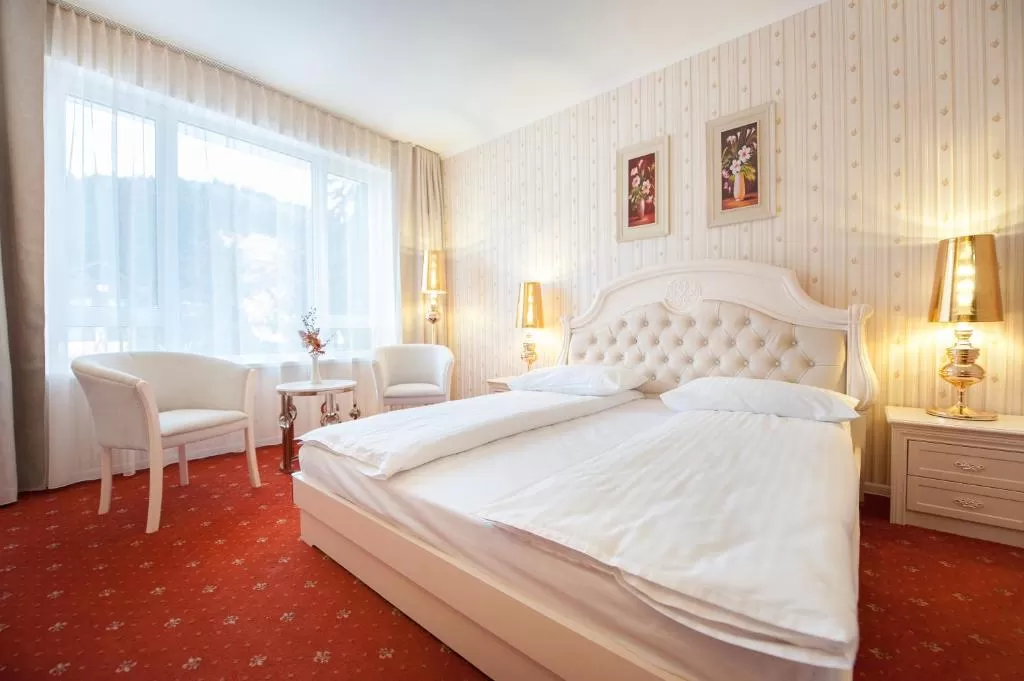 Revelion 2025 Sinaia Hotel Carpathia