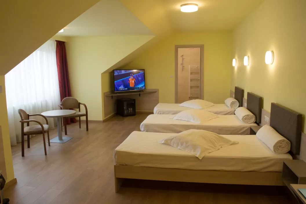 Cazare Cluj Napoca Vila Rosa***