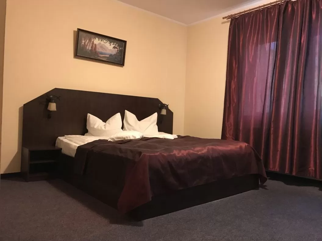 Cazare Satu Mare Hotel Cardinal***