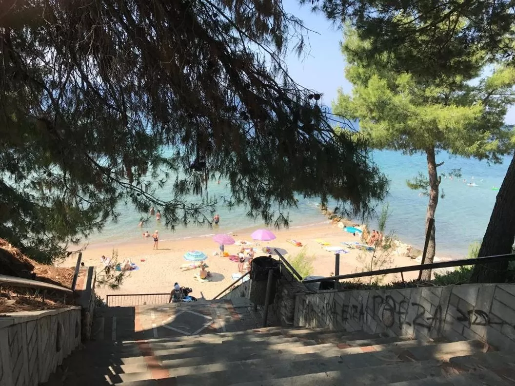 Litoral 2024 in Sihonia Metamorfosi Hotel Vozina*** 