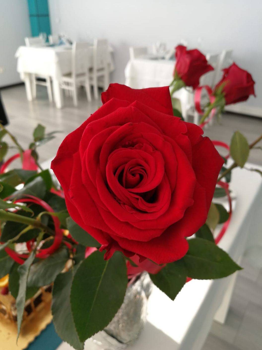 Valentines Day 2023 Covasna Hotel Caprioara
