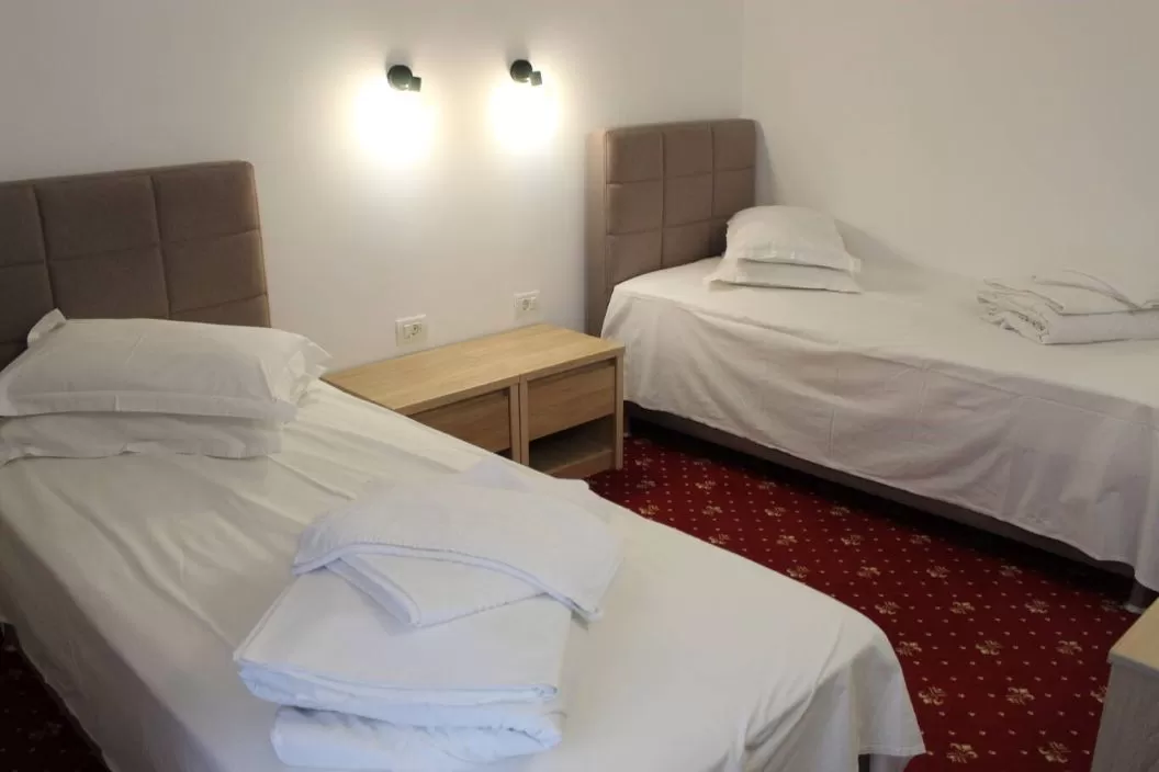 Tratament balnear 2026 Buzias Hotel Silvana