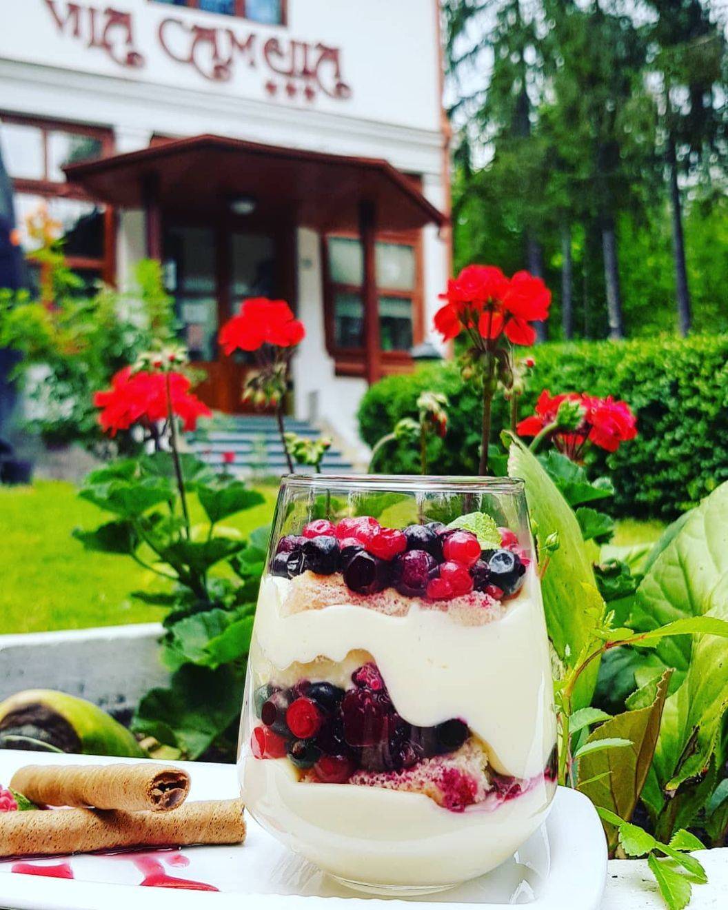 Sejur odihna 2022 Sinaia Vila Camelia
