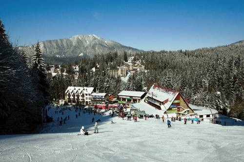 Oferte ski 2024 - 2025