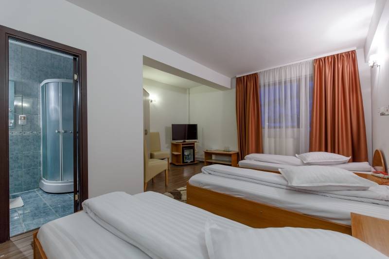 Odihna si relaxare 2023 Maramures Viseu de Sus Hotel Gabriela***