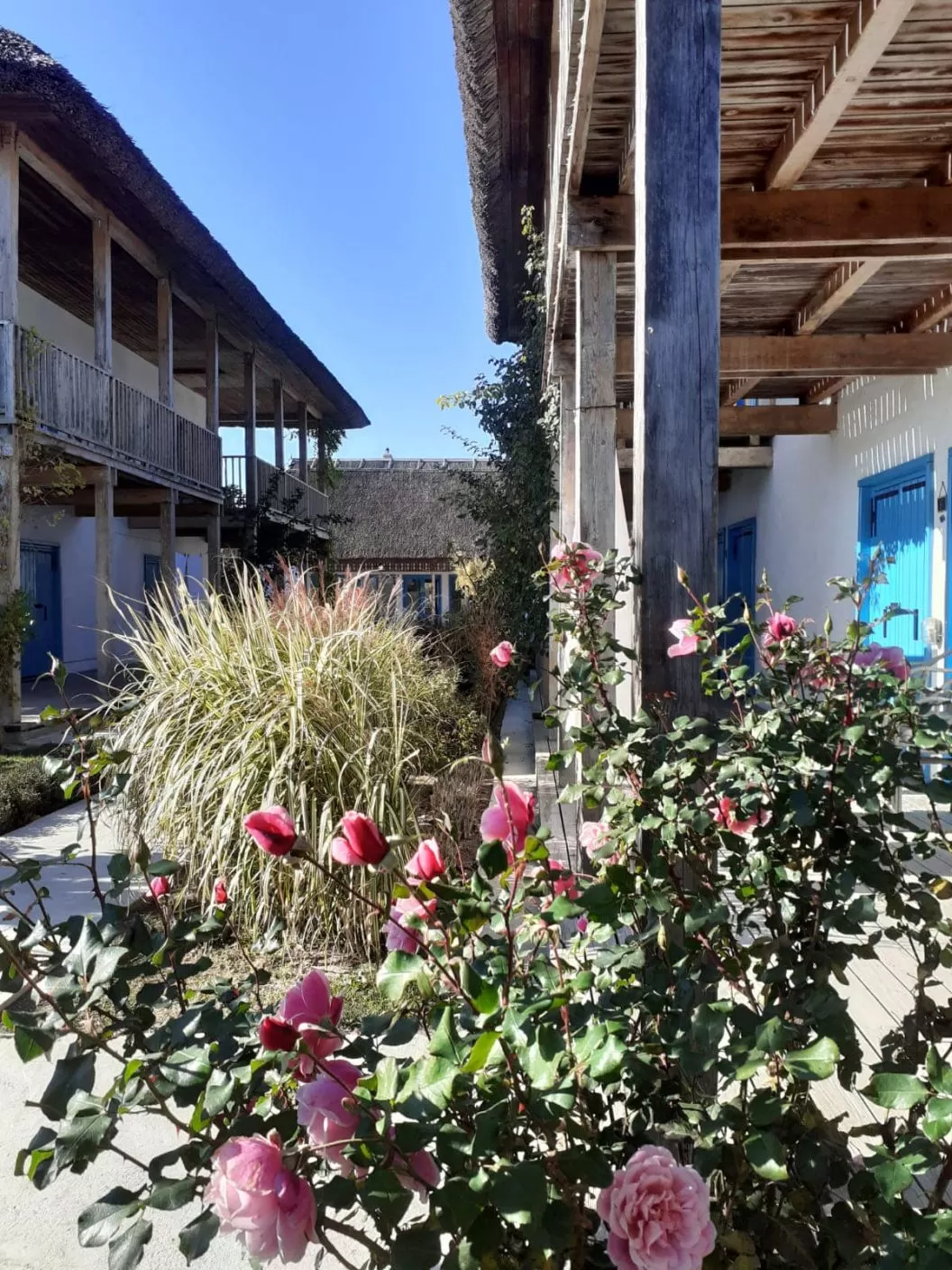 Vacanta 2025 Delta Dunarii Chilia Veche Limanul Resort