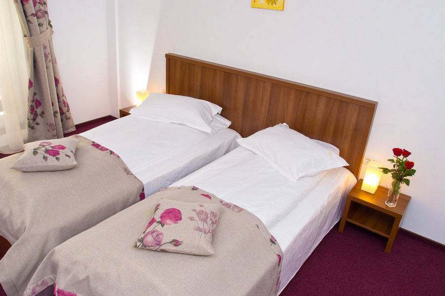 Cazare Munte 2023 Calimanesti Caciulata Hotel Domnitei***