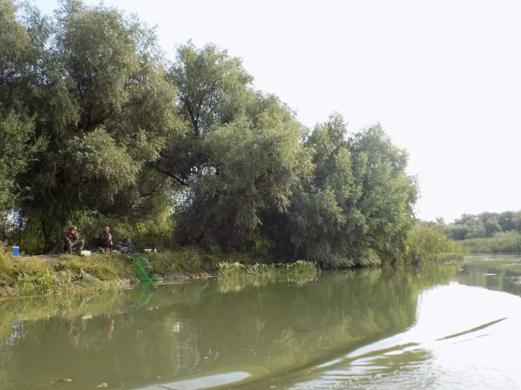 Pachete Pescuit in Delta Dunarii 2024 Crisan Pensiunea Ovidiu