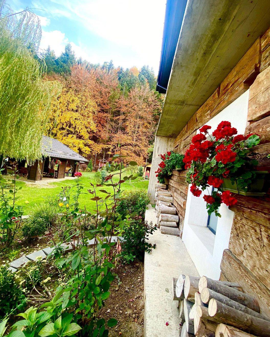 Craciun 2022 in Bucovina Voronet Pensiunea La Conac in Bucovina****