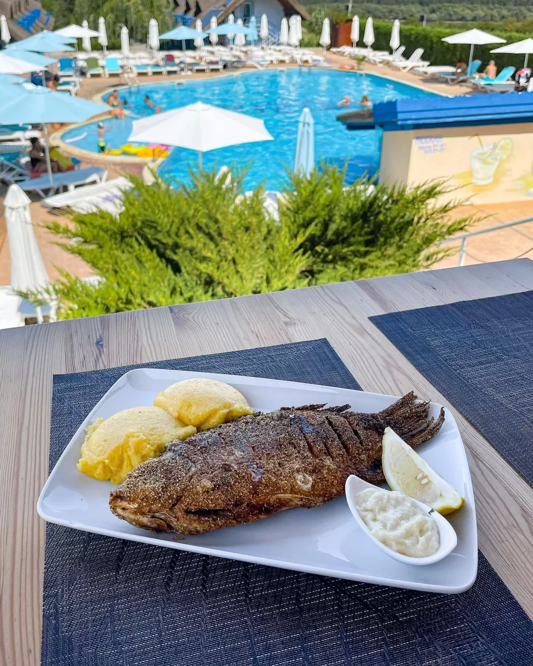 Vacanta 2025 Delta Dunarii Pensiunea Orizont Mahmudia Resort