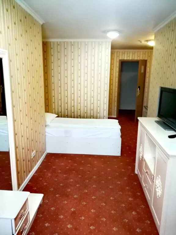 Revelion 2025 Sinaia Hotel Carpathia