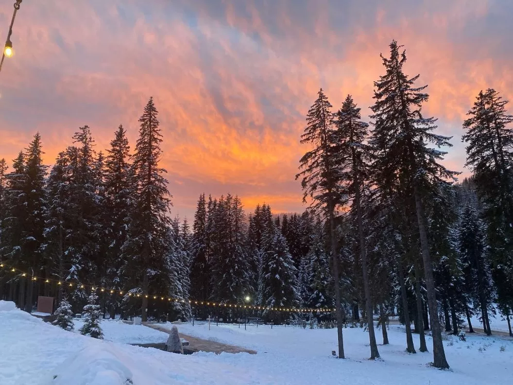 Craciunul 2023 in Parcul Natural Bucegi Hotel Pestera