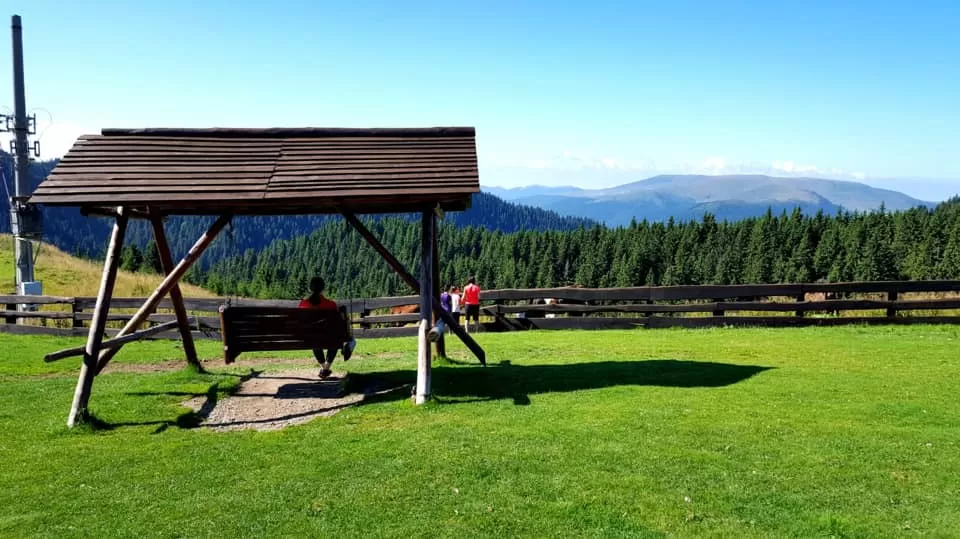 Splendoarea Bujorului de Munte in Muntii Ciucas