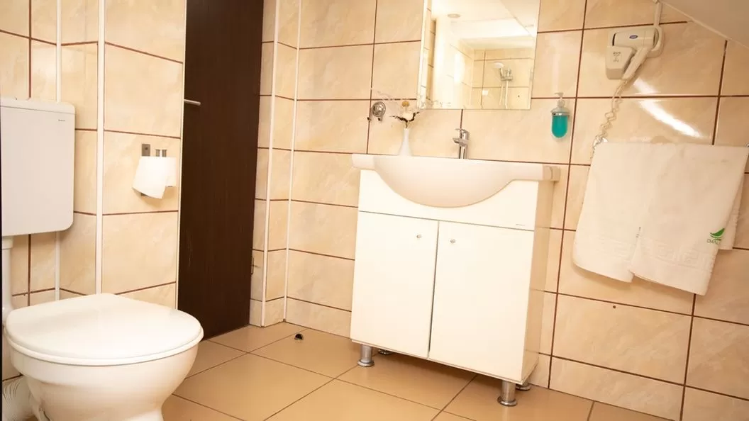 Vacanta 2026 in Clisura Dunarii Eselnita Pensiunea Danubia