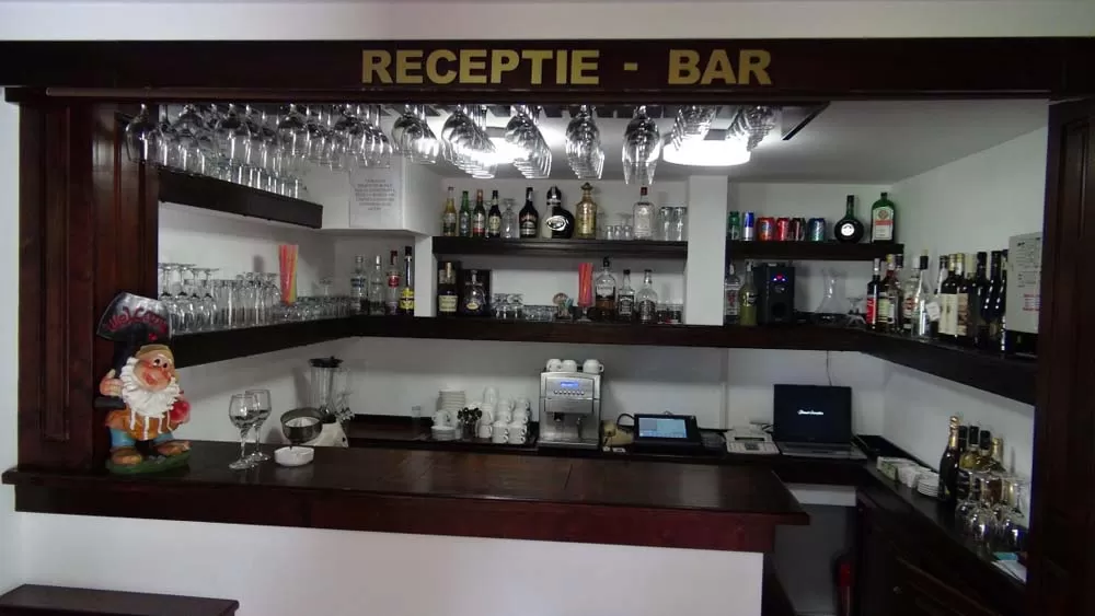 Revelion 2020 Bucovina Sucevita Complex Ecvestru Park****