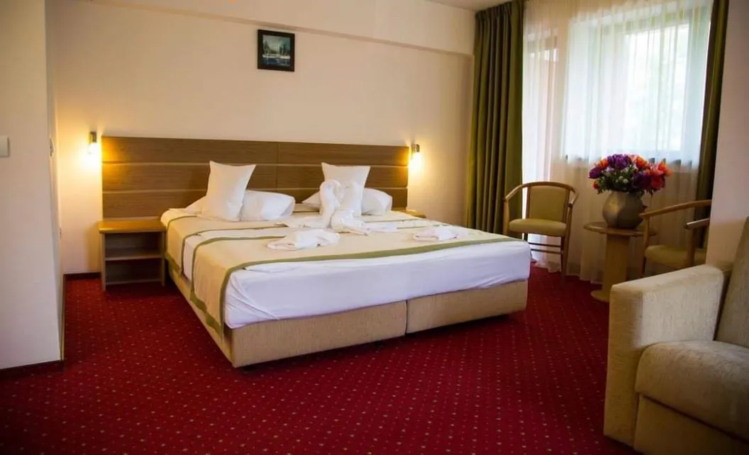 Valentine’s Day 2026 la Predeal Hotel Carpati