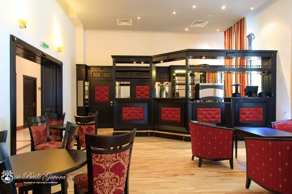 Pachet Tratament 2025 Balneo Style Baile Govora Hotel PALACE