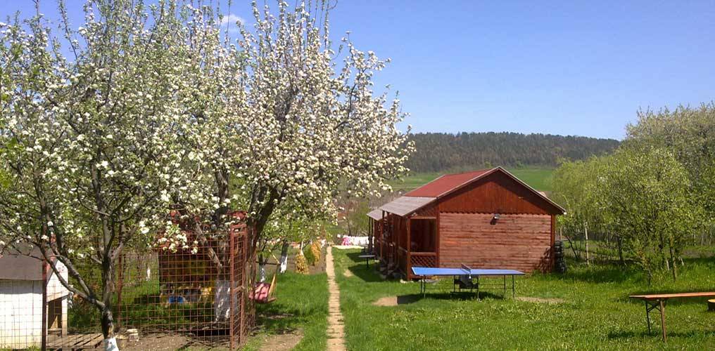 Tratament Balnear 2023 Bazna Pensiunea Bassen