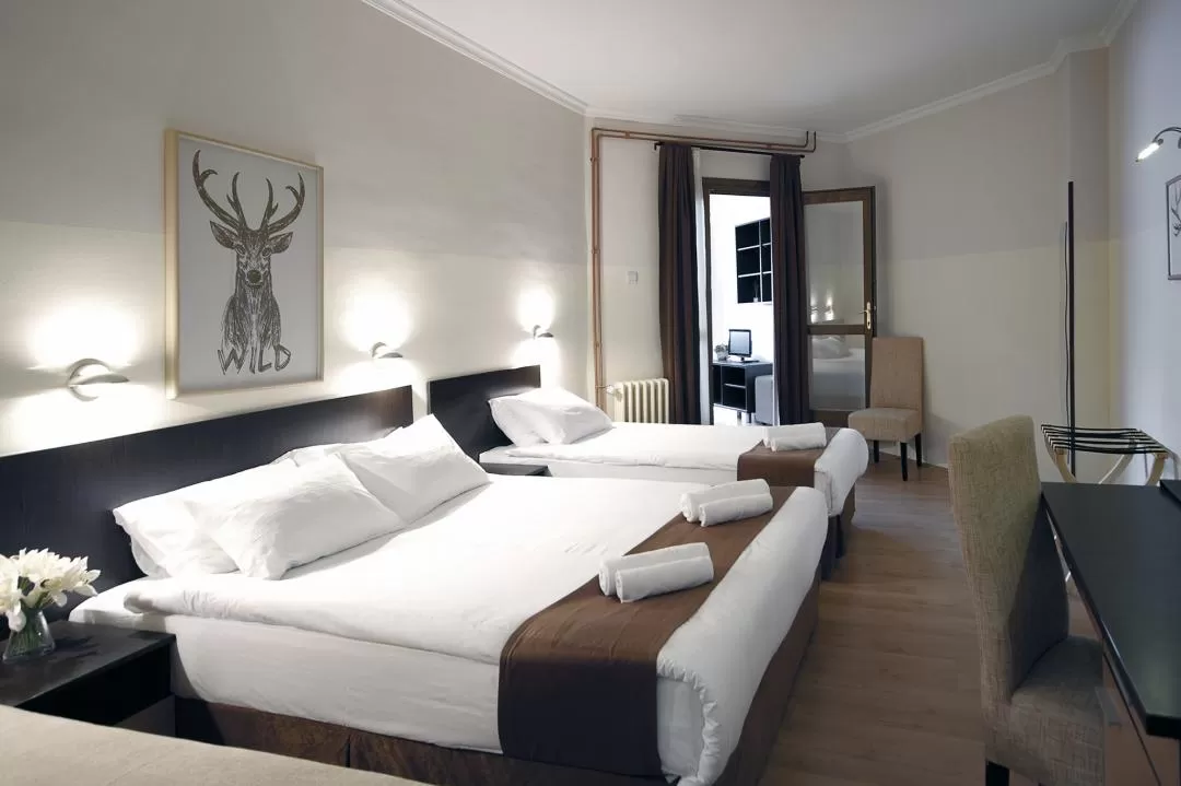 Sejur Ski 2021 -2022 Brzece Serbia Hotel JUNIOR