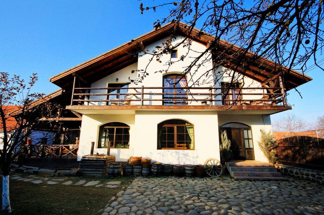 Vacanta 2025 la poalele Fagarasului Cartisoara Pensiunea Casa Mosului***