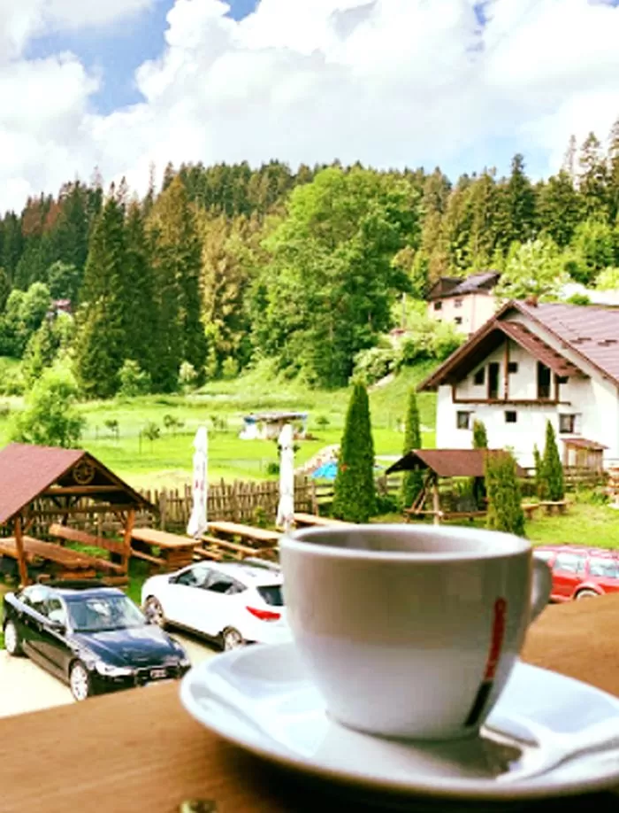 Sejur odihna 2023 in Bucovina Voronet Pensiunea Blumenhof****