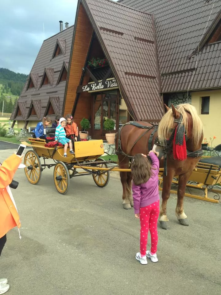 Sarbatori de Pasti in Bucovina 2023 Poiana Negrii Pensiunea La Bella Vista****