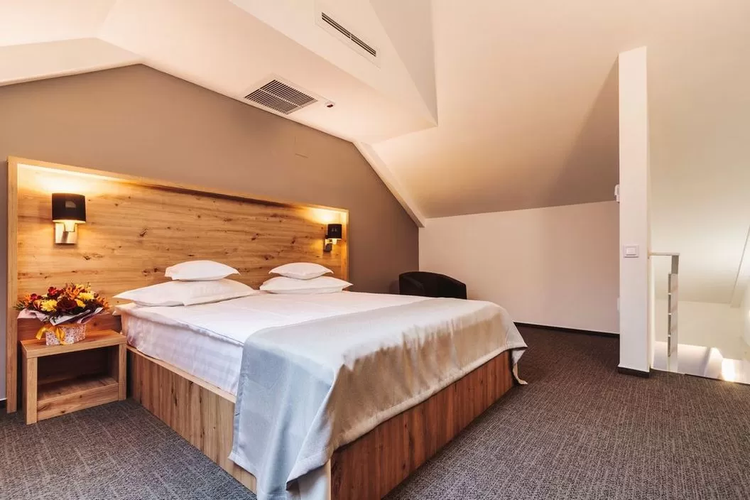 Pachet Tratament Balneo SPA 2025 Calimanesti Caciulata Hotel Domnitei