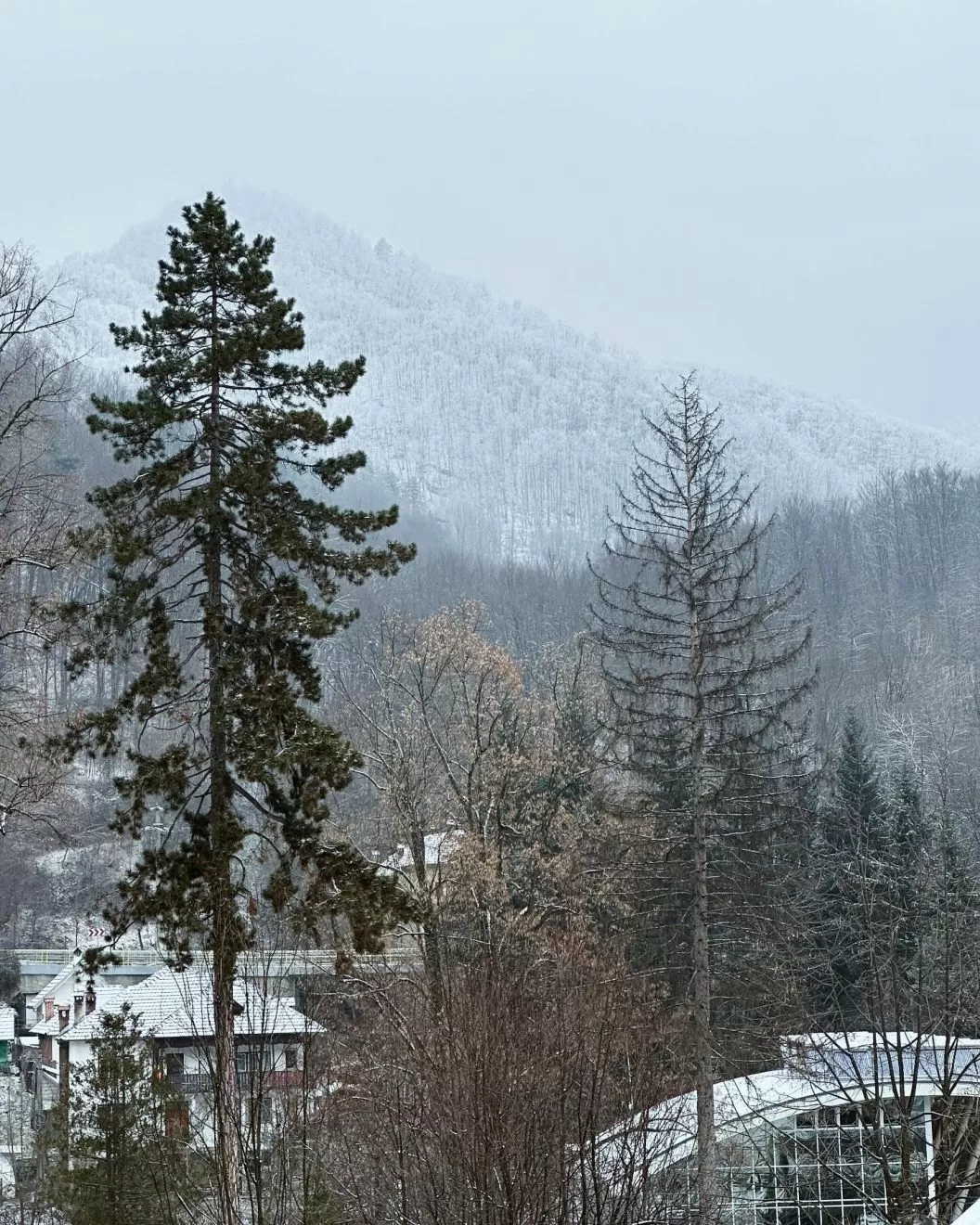 Ofertele Primaverii 2023 Baile Olanesti Complex TISA***