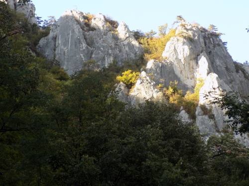 Sejur Odihna 2025 Baile Herculane Hotel Dacia** 