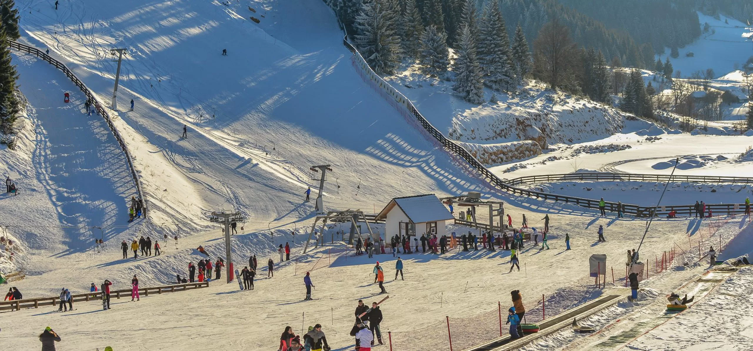 Revelion 2024 Cheile Gradistei Resort Fundata***