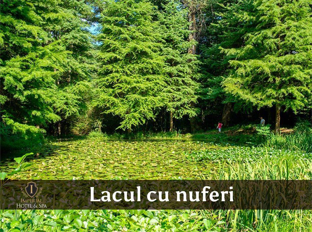 Sejur odihna 2024 Baile Olanesti Hotel Imperial SPA****
