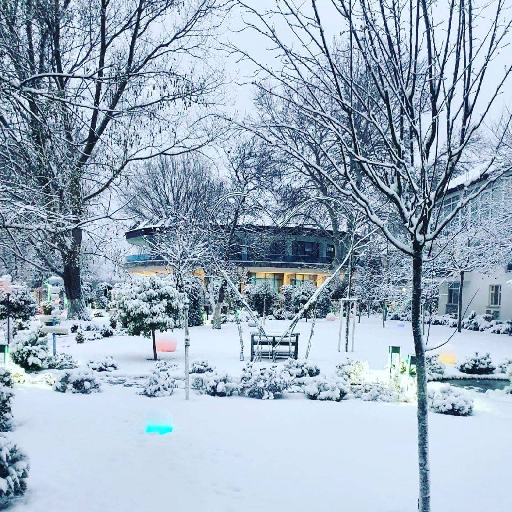 Craciun 2022 in Delta Dunarii Crisan Lebada Luxury Resort SPA