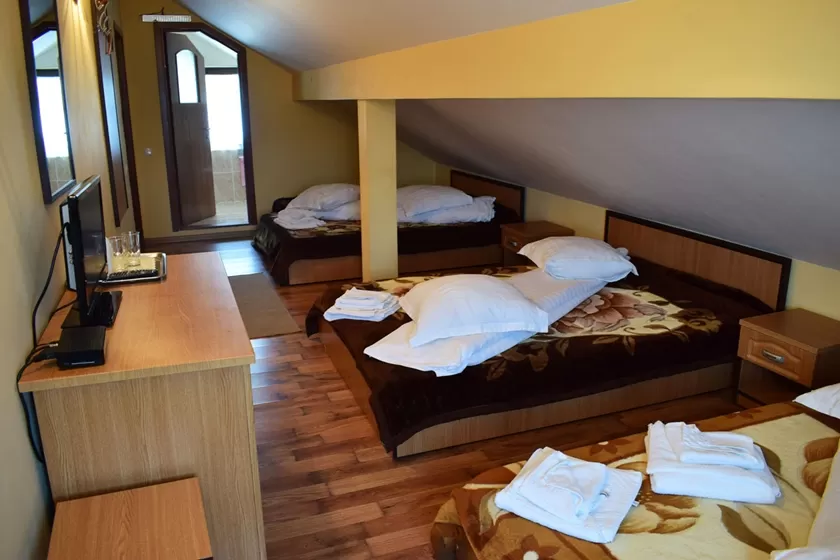 Splendoarea Bujorului de Munte in Muntii Ciucas