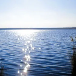 Factori naturali – Sănătate, Relaxare și Energie Regăsită-img