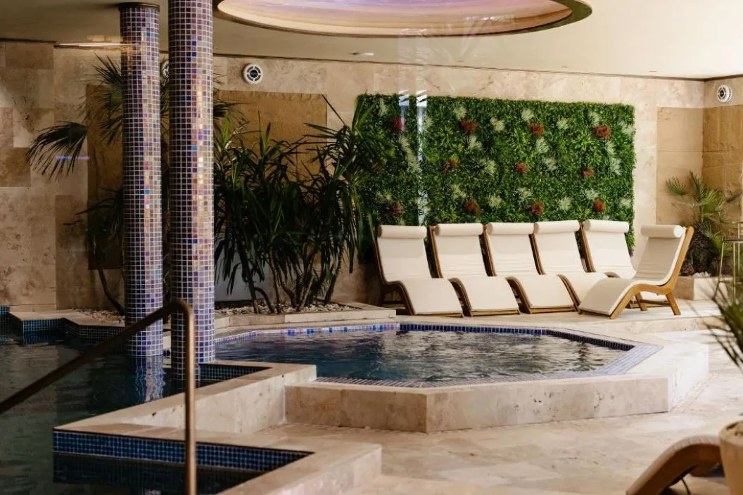 Vata Detox 2026 Complexul Balneo Termal Vata Bai Hotel Phoenix