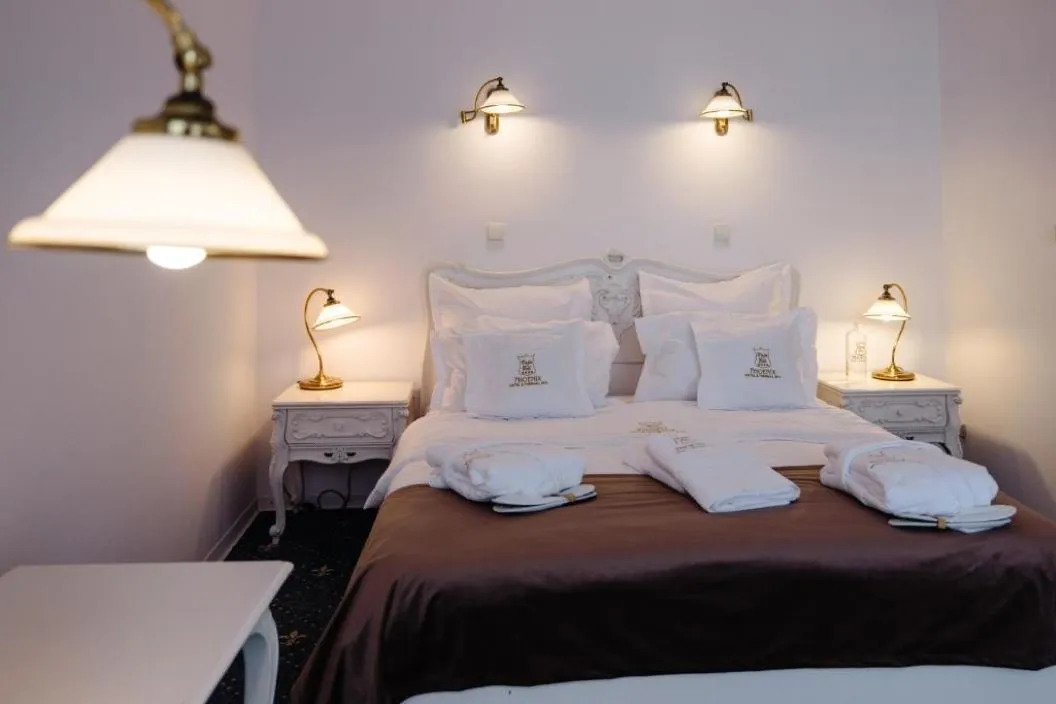 Vata Detox 2026 Complexul Balneo Termal Vata Bai Hotel Phoenix
