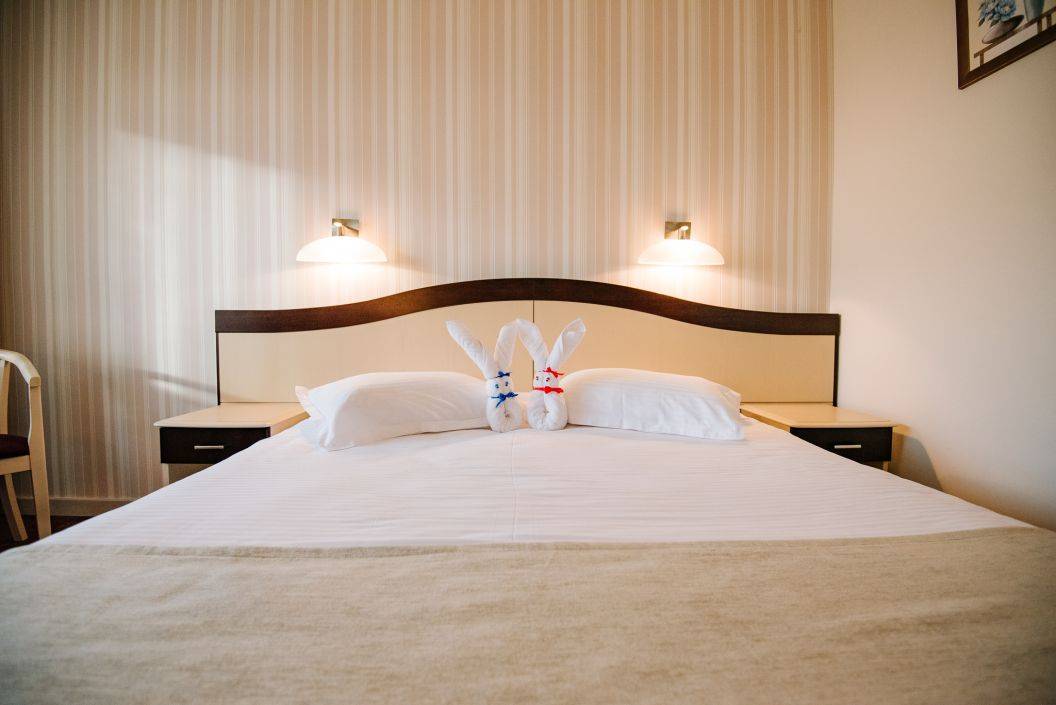 Pachet SPA Relax 2023 Covasna Hotel Caprioara SPA Wellness Resort