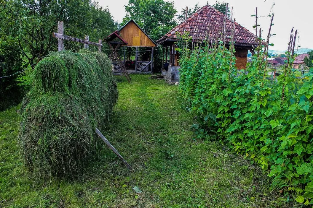 Rusaliile 2021 in Maramures Ieud Pensiunea Ilea** 