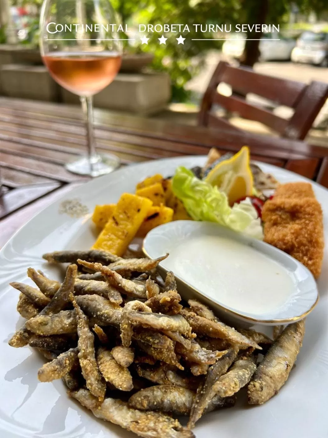 Revelion 2026 Ani de Liceu Drobeta Turnu Severin Hotel Continental Drobeta Turnu Severin