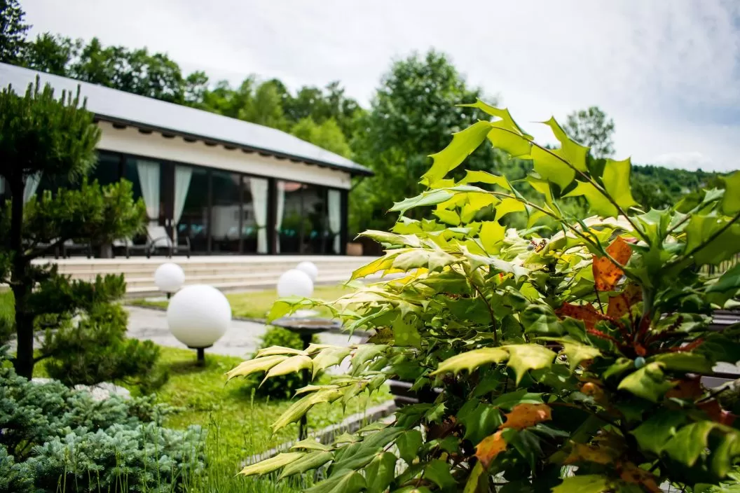 1 Decembrie Maramures Borsa Hotel Nord