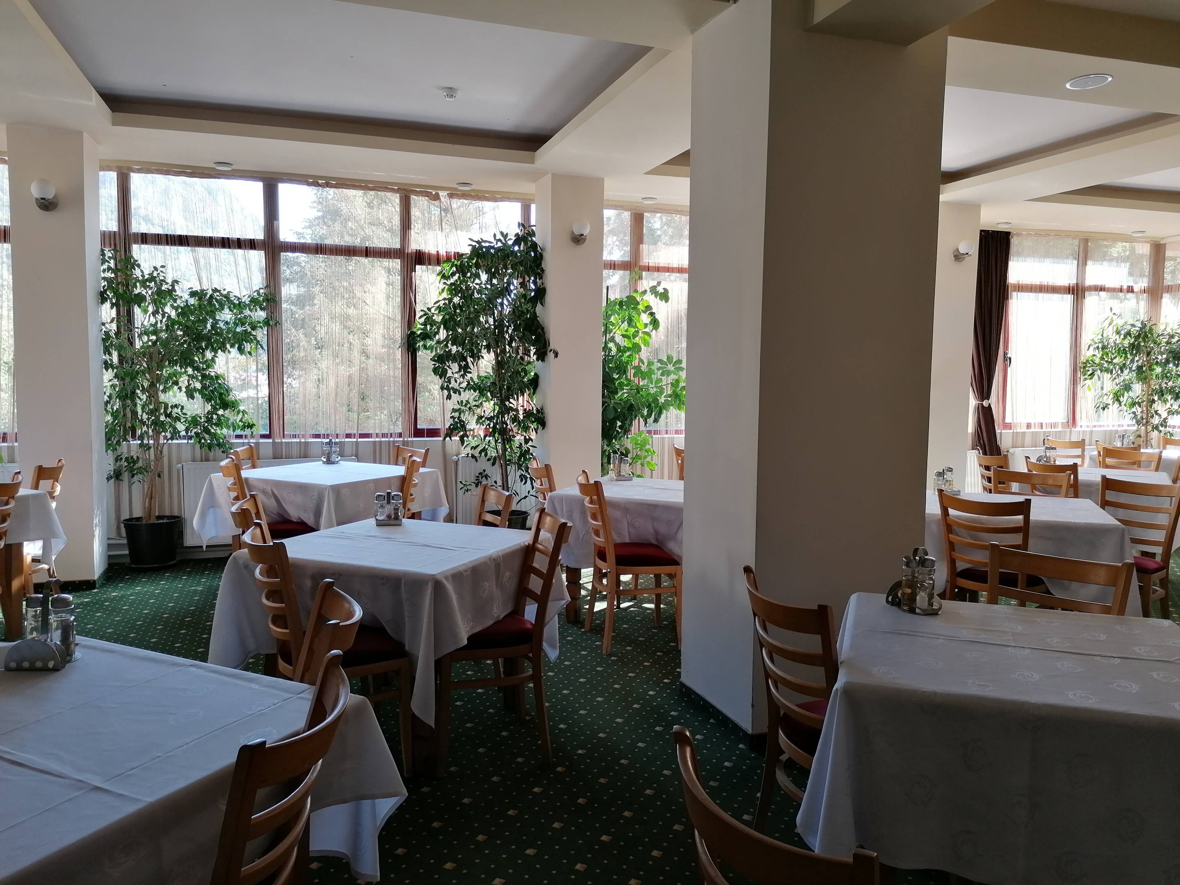 Pachet tratament Balneo Activ 2023 Baile Herculane Hotel Domogled