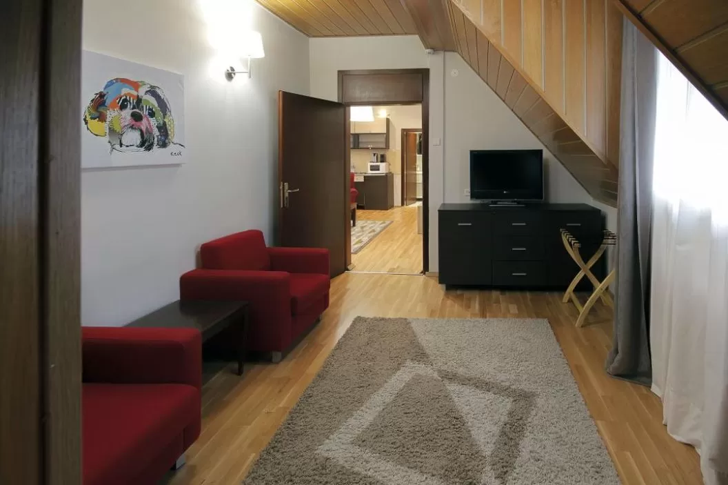 Revelion Ski 2023 Brzece Serbia Apartamente JUNIOR