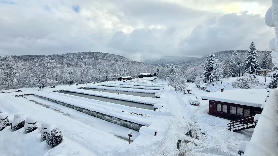 Revelion 2024 in Tara Fagarasului Pastravaria Albota