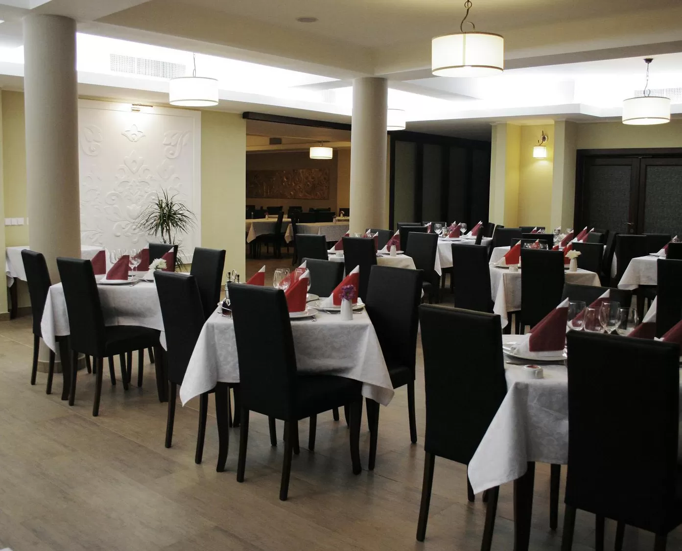 Sejur Relaxare Baile Felix Pensiunea Anthimos