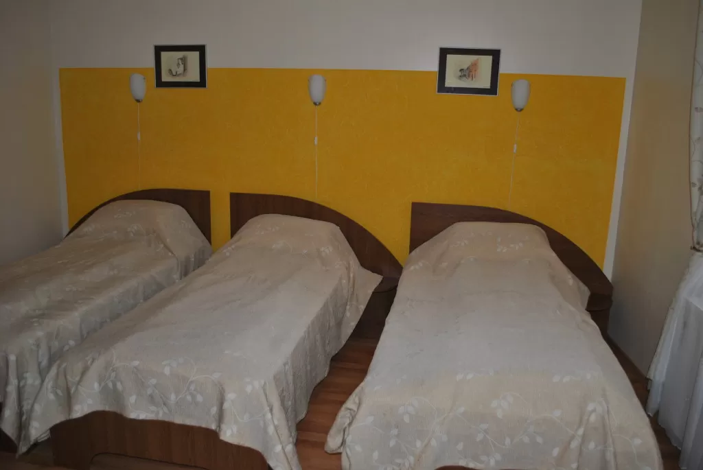 Sejur Hateg Pensiunea Vila Veche
