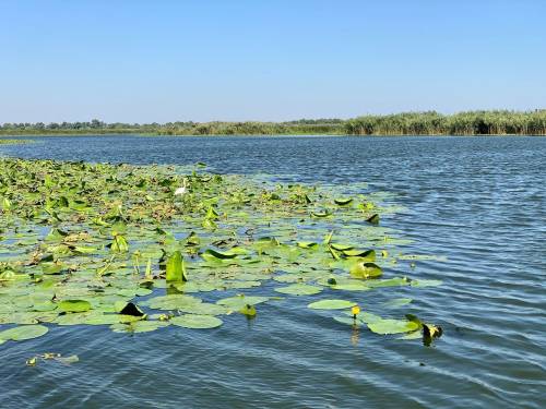 Sarbatori de Pasti 2025 Delta Dunarii Baltenii de Sus RESORT WELS