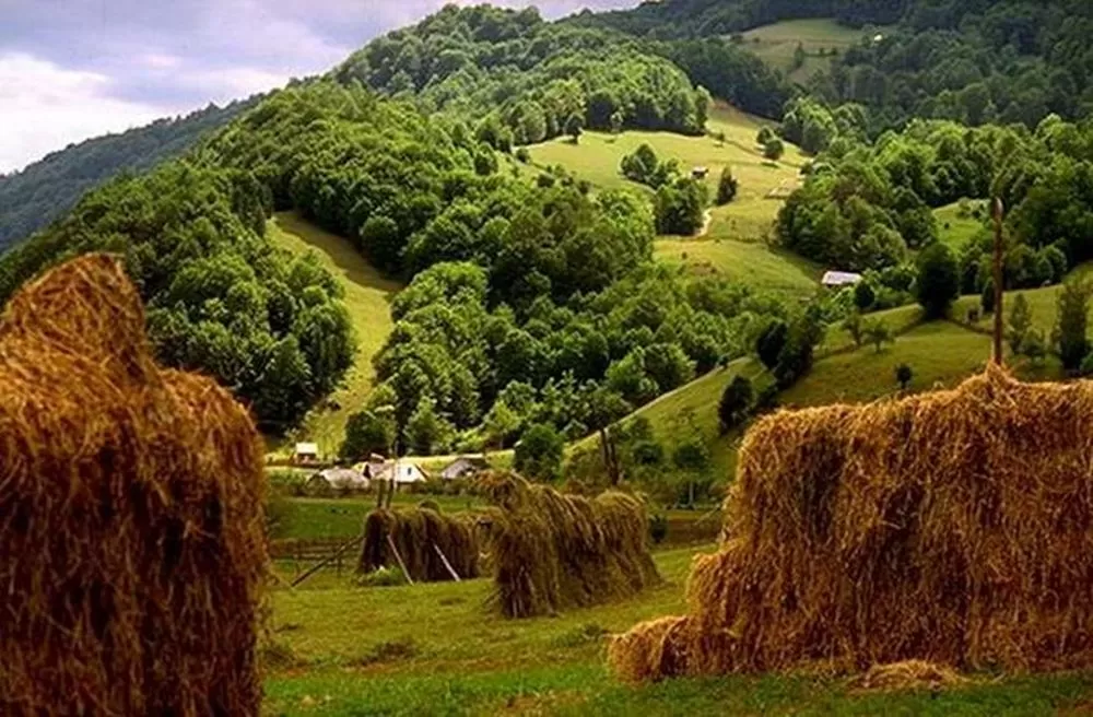 Sfantul Andrei si Ziua Nationala in Maramures Glod Pensiunea Glodeanca****
