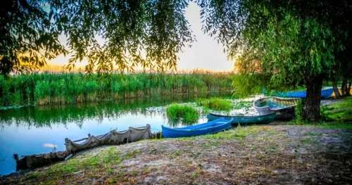 Vacanta in Delta Dunarii 2025 Baltenii de Sus Pensiunea 4 Salcii
