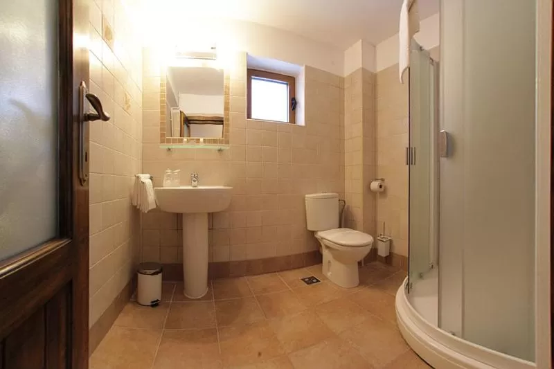 Sejur odihna 2020 Busteni – Vila Ermitage****