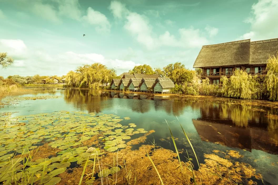 Seniori 2026 Delta Dunarii Sfantu Gheorghe Complex Green Village